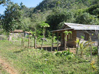 Photo of homes on route to Topes de Collantes